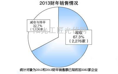 2013财年销售情况