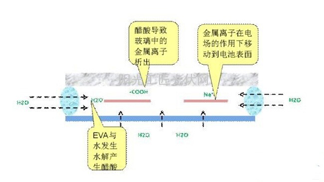 Na+的析出及移动过程