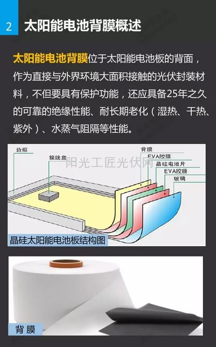 太阳能电池背膜研究报告