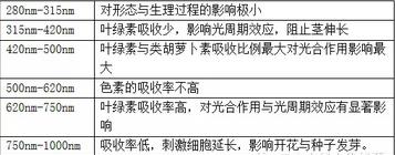 技术干货：如何实现光伏大棚农光效益双丰收？