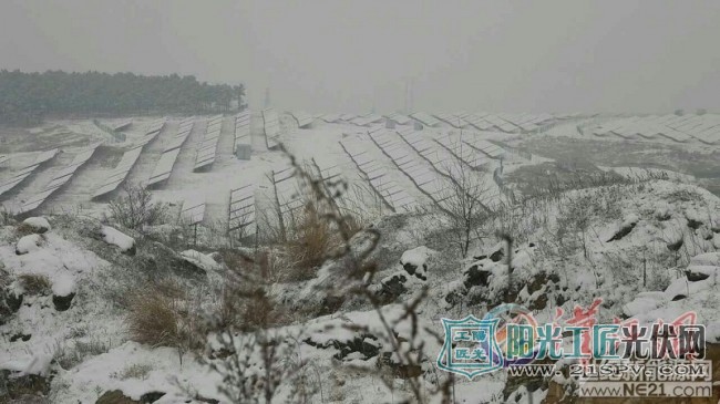 枣阳光伏风电场壮观雪景上《新闻联播》