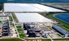 FPL将在佛罗里达州建立596MW光伏项目
