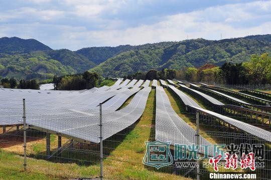 濱田MS太陽能發(fā)電站 王健 攝