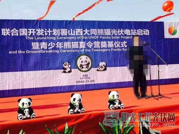 未来五年  中国将建100个熊猫光伏电站？噱头还是概念？