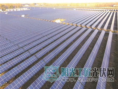 灌南县 “农光互补”光伏发电已并网发电产值超6000万元