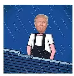 特朗普要在美墨边境修筑墙 并在墙上都铺上太阳能电池板