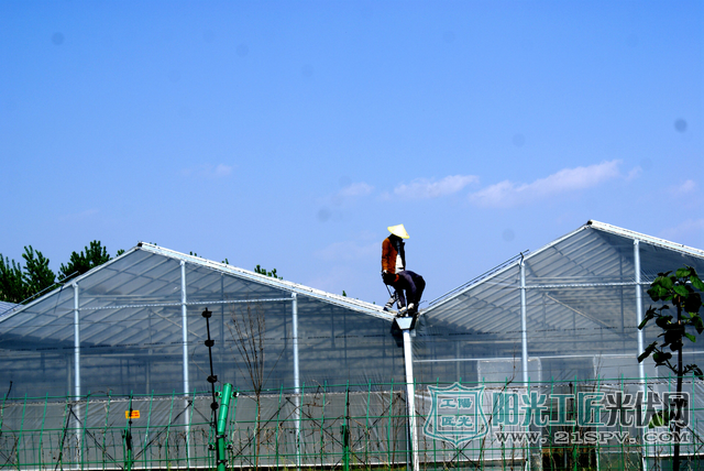 安徽亳州：光伏农业给农民插上致富的“翅膀”（图）