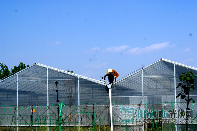 安徽亳州：光伏农业给农民插上致富的“翅膀”（图）