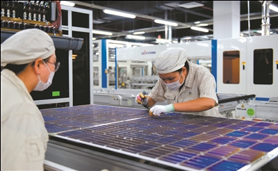 江苏林洋光伏计划投资20亿元实施光伏2GWN型高效太阳能项目
