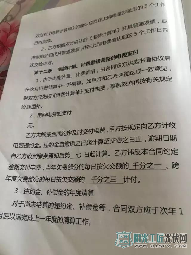 山东乐陵：户用光伏深度调研报告