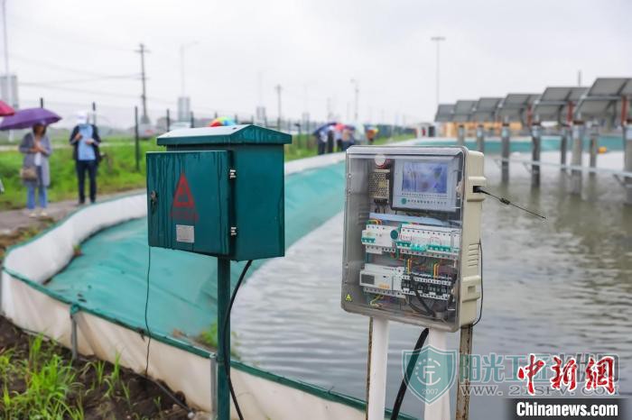 æ°´ä¸è®¾ç«åä¼çµæ± æ¿ï¼æ°´ä¸å»æ®é±¼è¾è¹ï¼ä¸æ± å¤ç¨ããéä½³é¢ æ